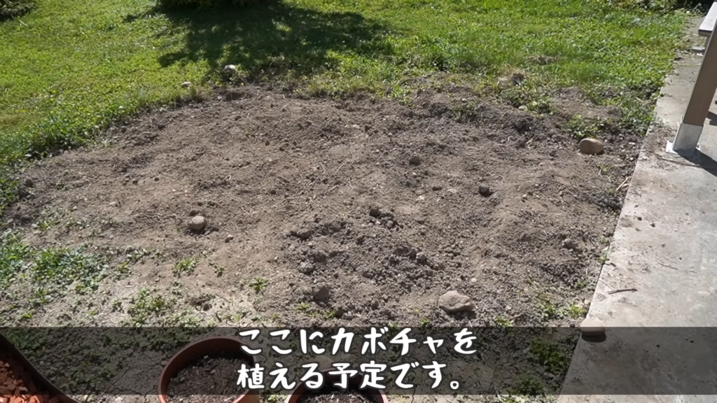 カボチャを植えるスペースも完備