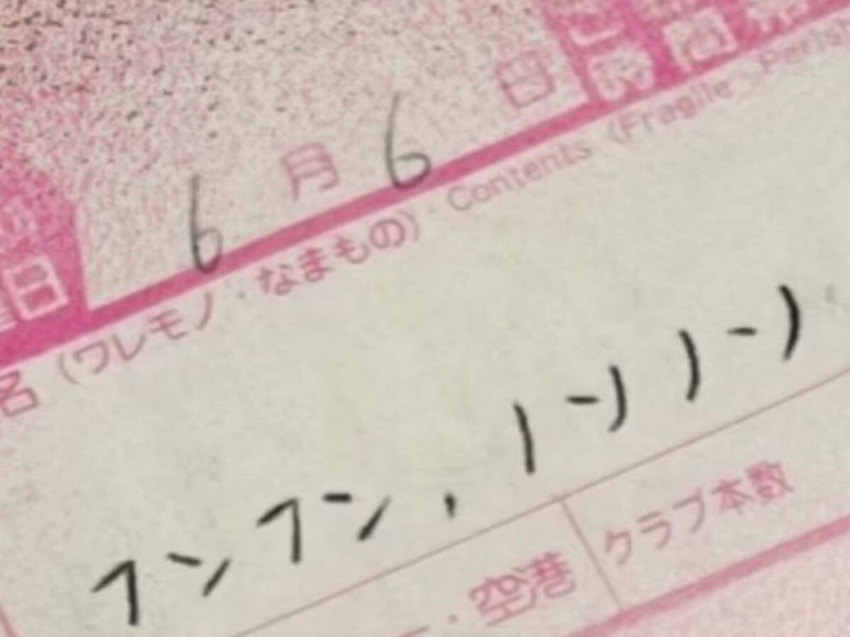 兄から届いた「フンフン、ノソノソ」と書かれた“謎の荷物”→開けたら…… まさかの中身に「むしろフンフンとノソノソで良い」 | ライフスタイル ねとらぼ