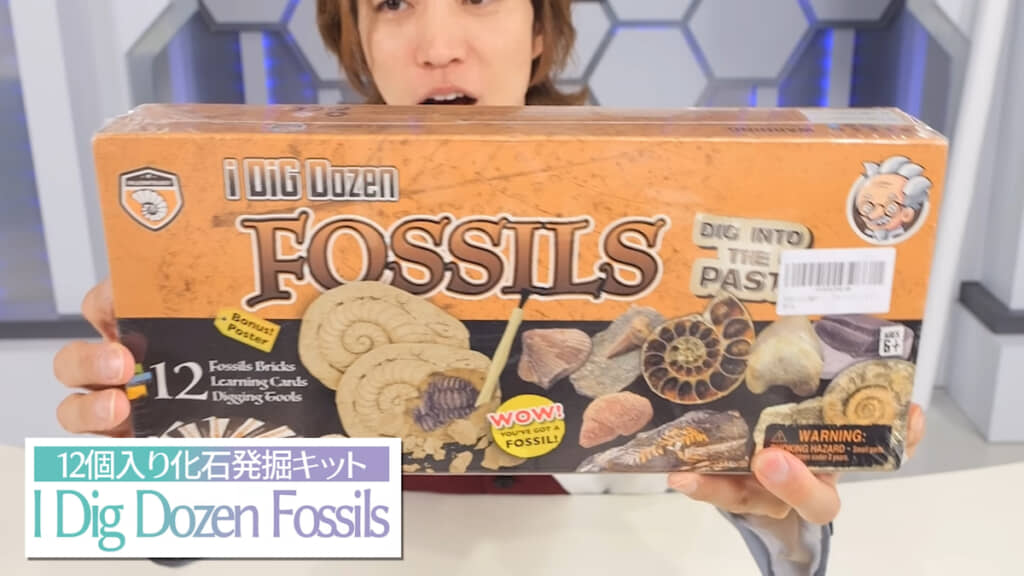 Amazonで買った12個入り化石発掘キット