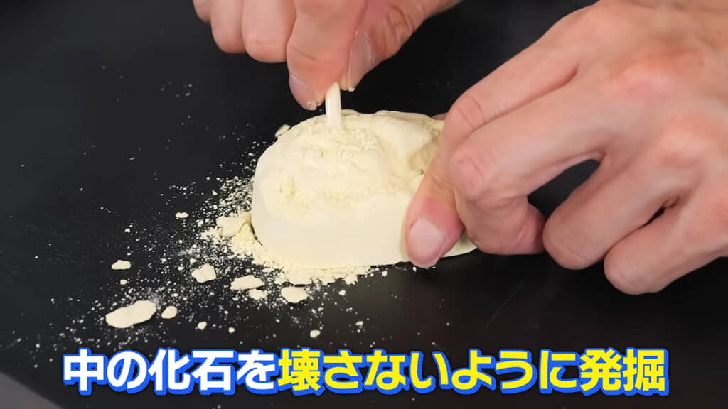 化石を傷つけないよう周囲から少しずつ削る