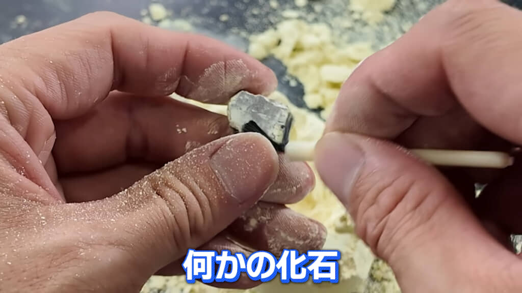 化石の粉をハケで落とす