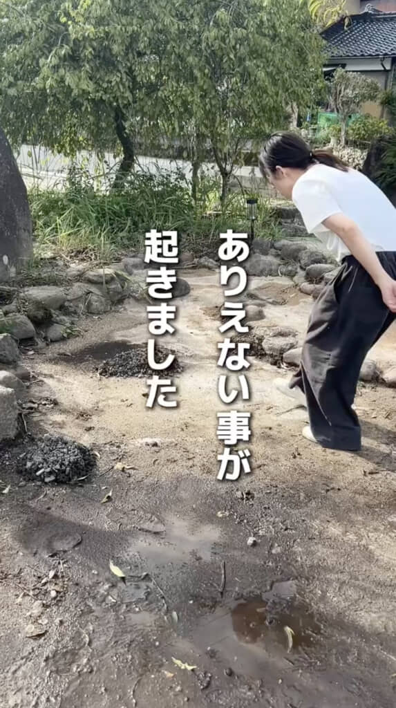 ある朝、庭に出現していたのは……