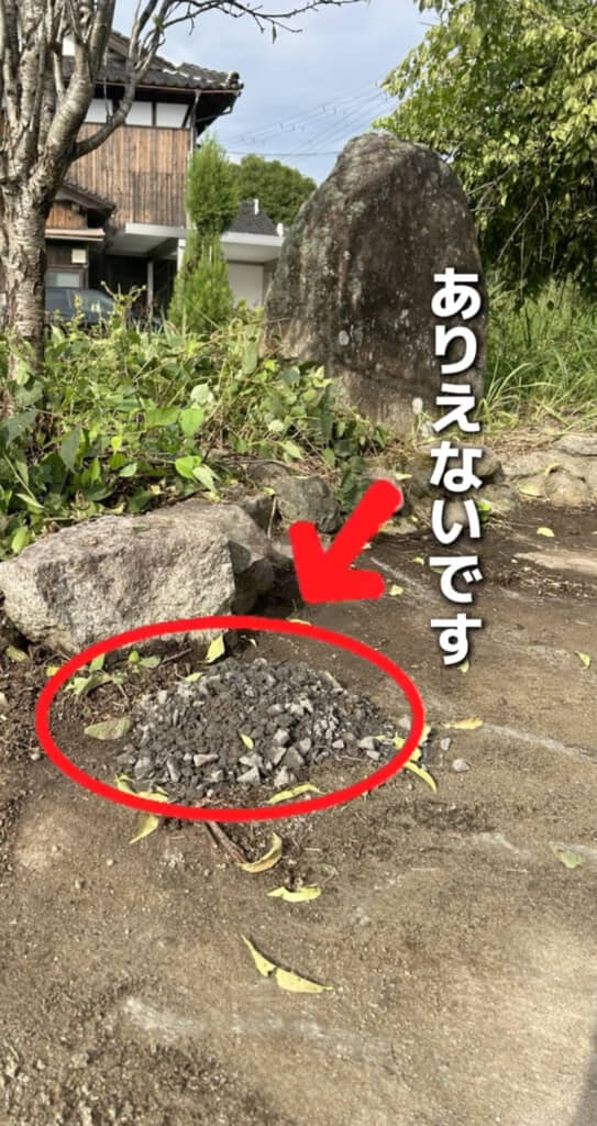 一体なぜ……?