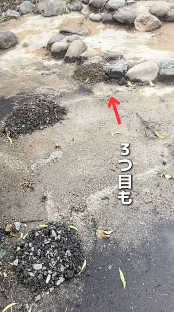 きれいにならした翌朝、なんと3つの穴&盛り土が出現!