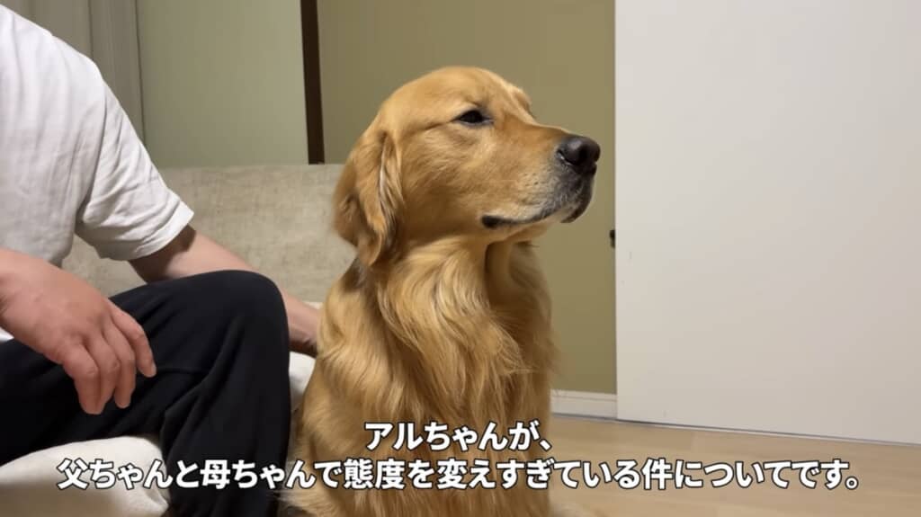 パパとママで態度を変えすぎているアルトくん