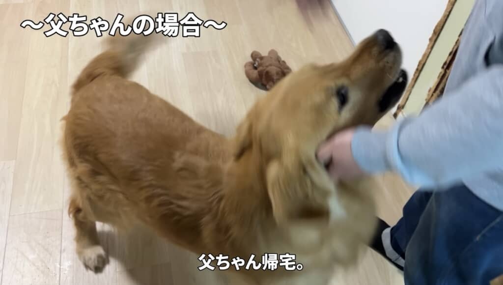パパさんをお出迎えする場合