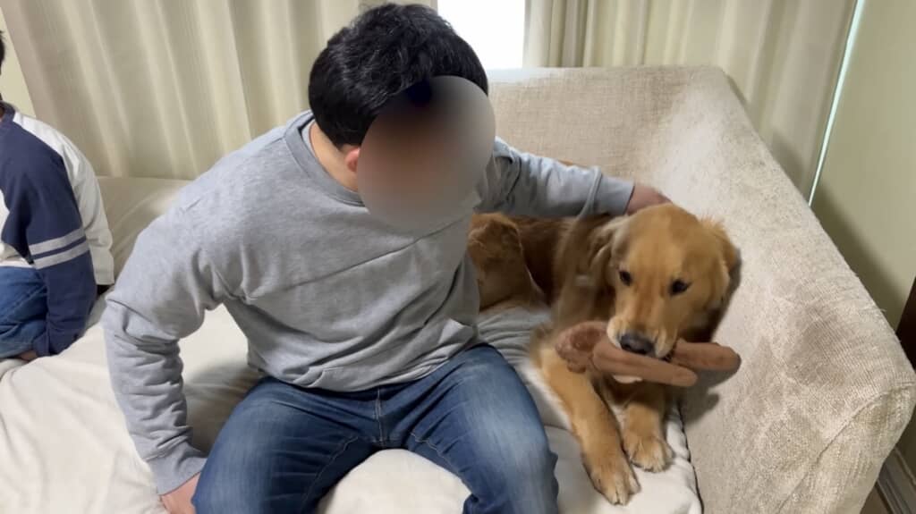 なでてほしくて仕方ない