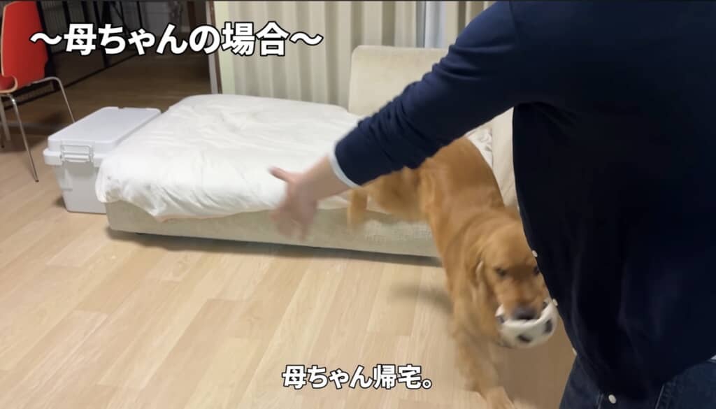 ママさんをお出迎えする場合