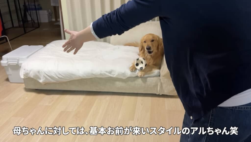 ママさんから来てほしいスタイル