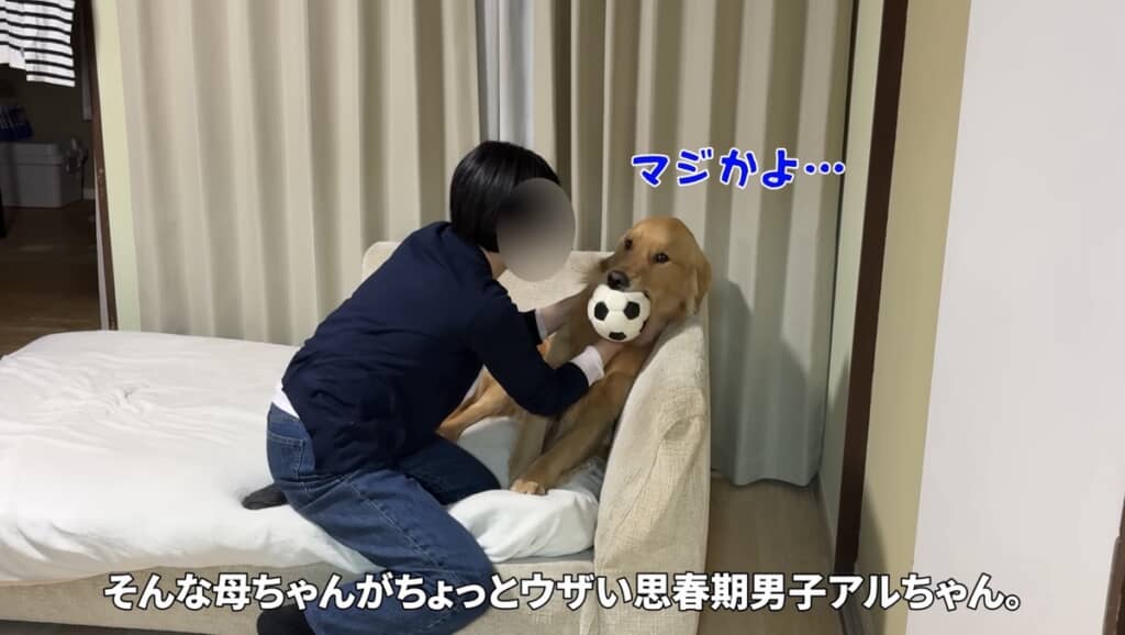 思春期中の男子?