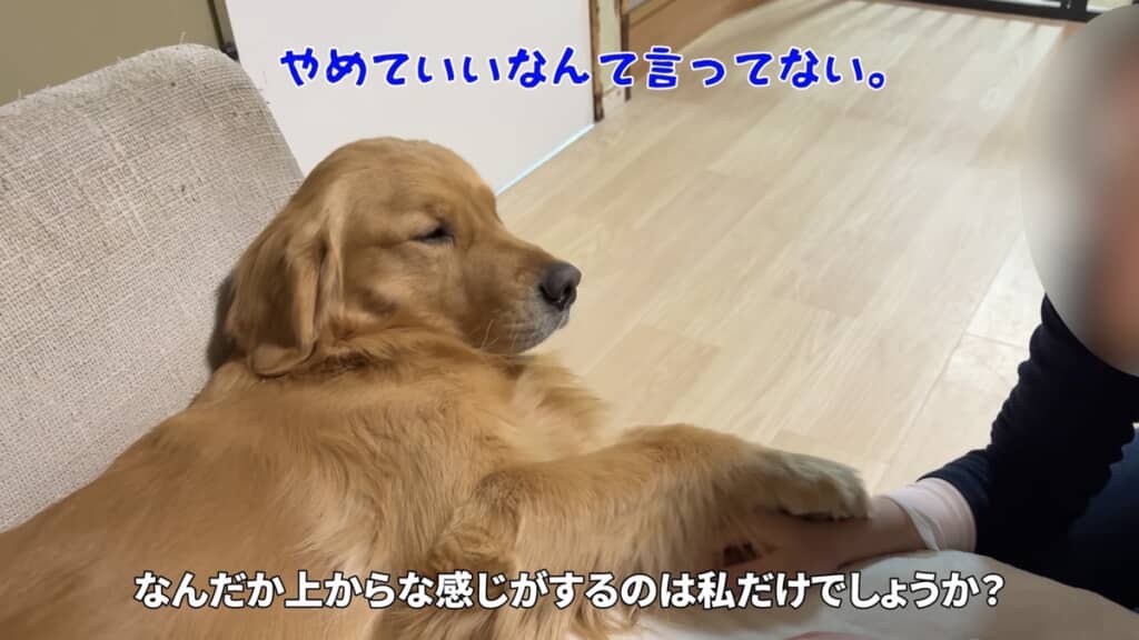 上からな感じもまたかわいい