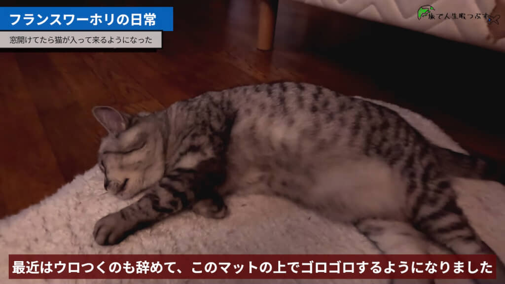 お気に入りのマットでごろごろ