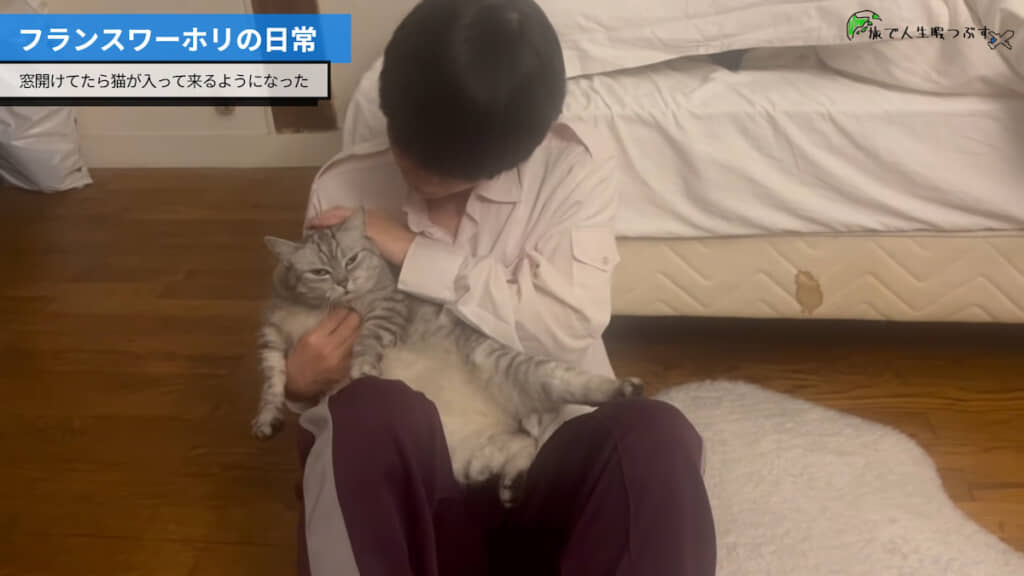 全力で愛でてしまう