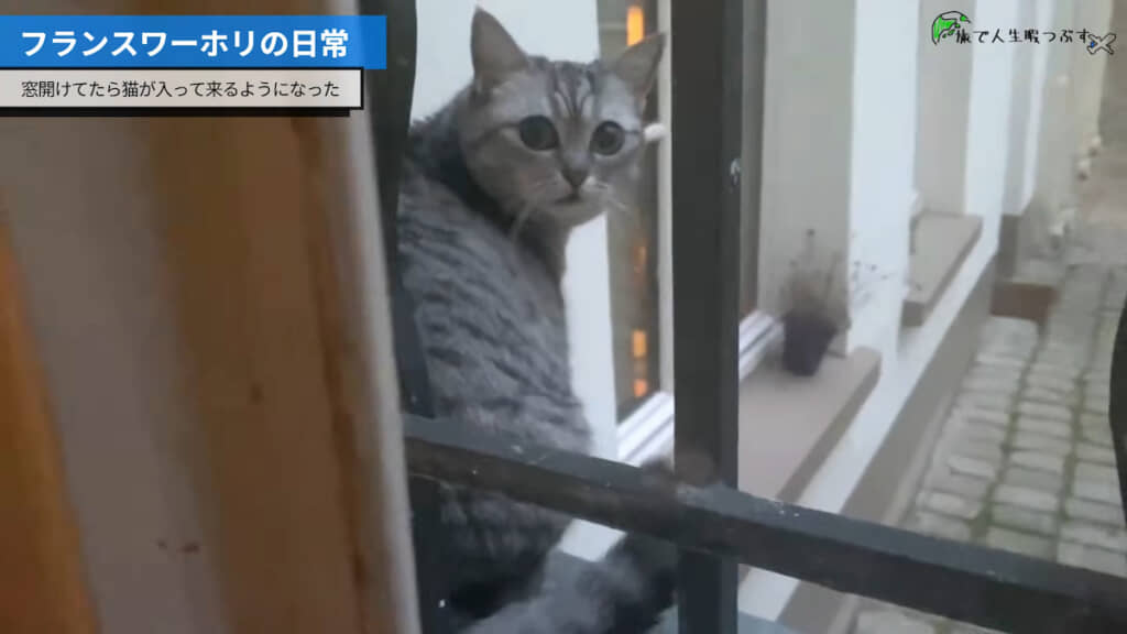 帰るときにも振り返り……