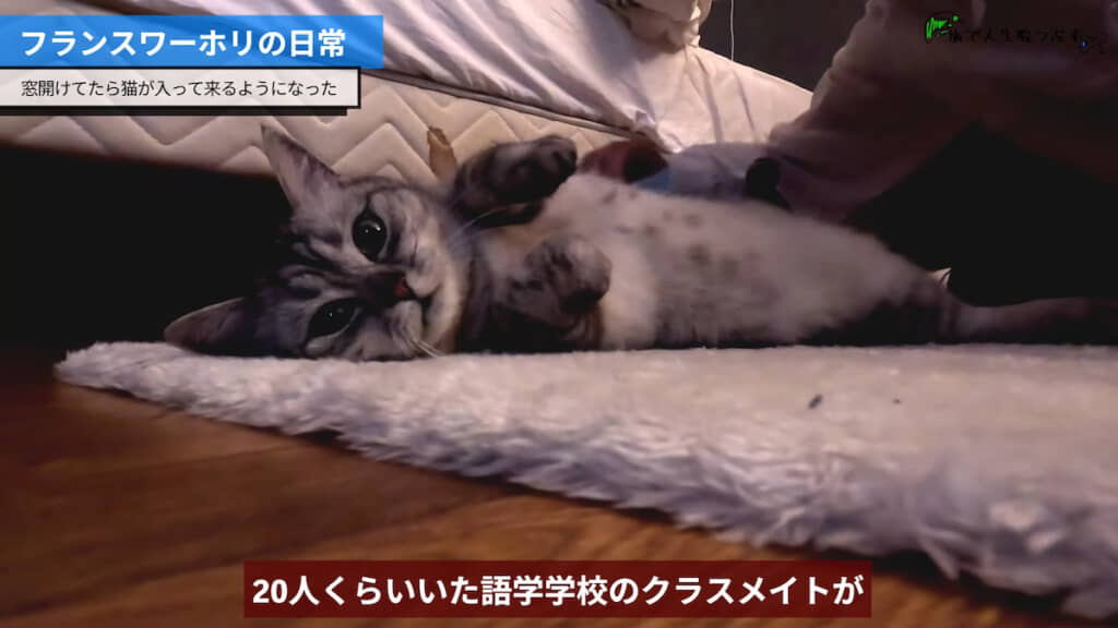 警戒心ゼロのくつろぎっぷり