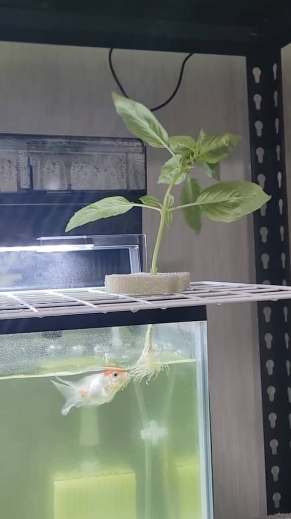 根っこを食べている!?