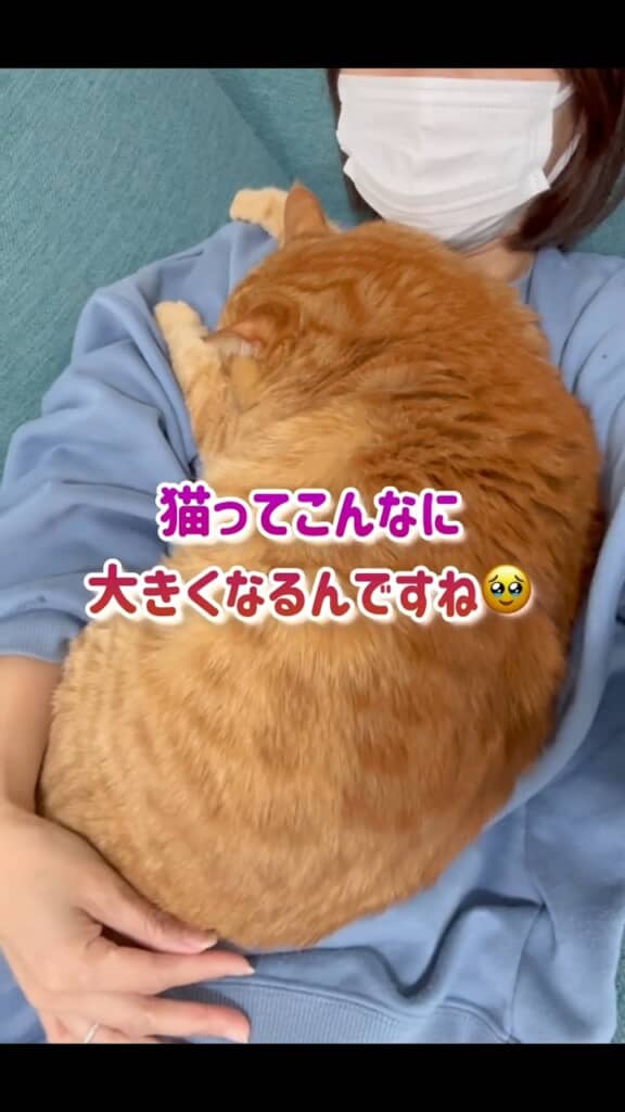 ひょっとして元気になりすぎたかも？