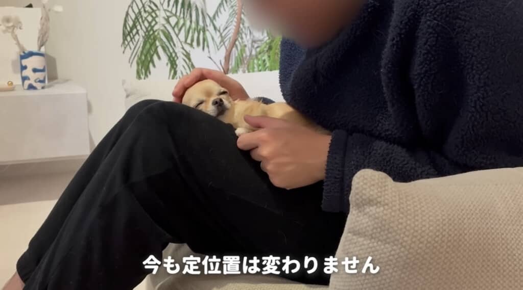 3年経っても定位置は変わりません