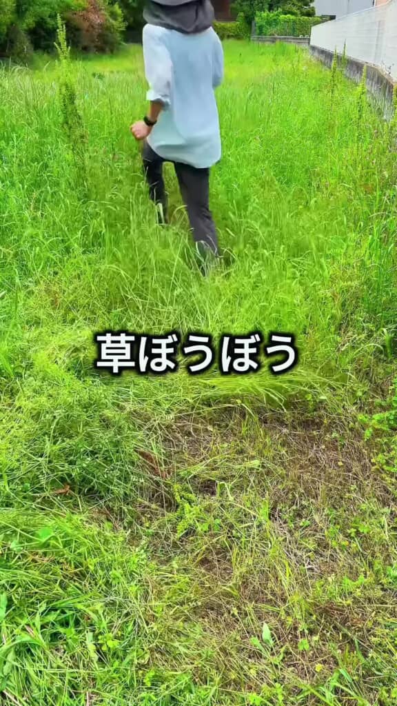 荒れ地を歩く投稿者