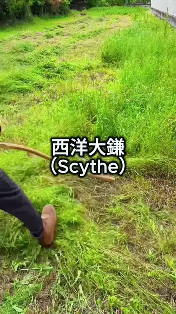 西洋大鎌で草を刈る様子