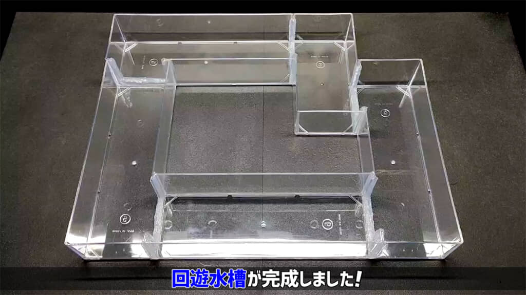 回遊水槽の完成です