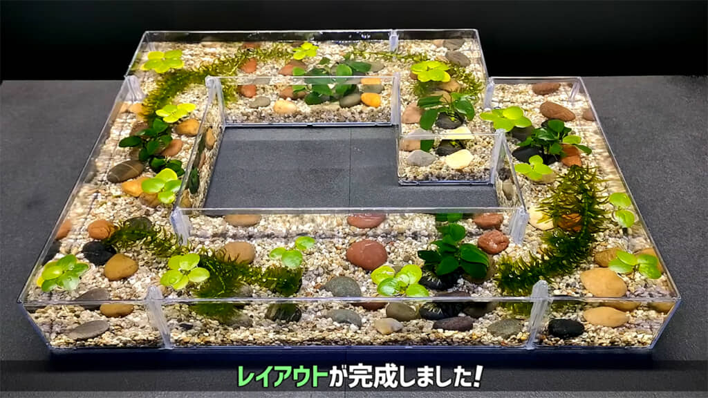 砂や石、水草を使ってレイアウト