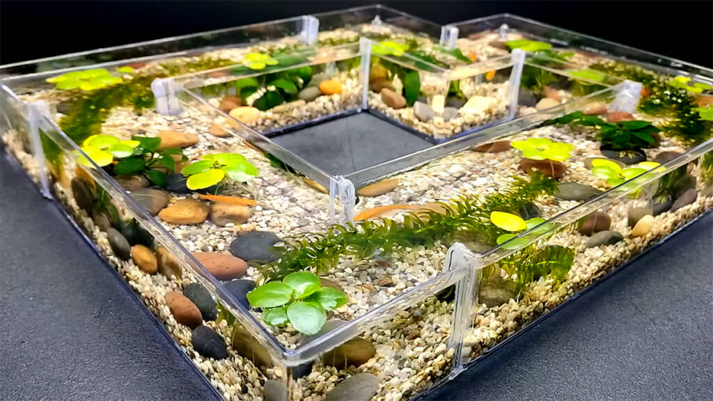 メダカが泳ぎまわる、素敵な回遊水槽となりました◎