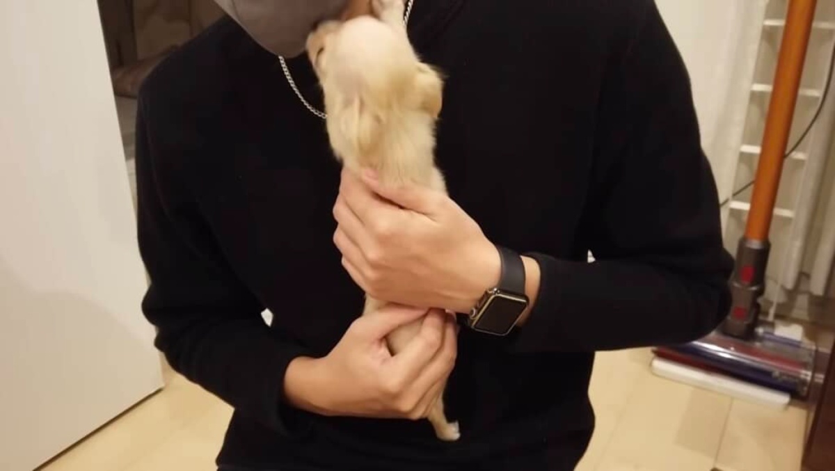 出会った瞬間からベッタリだったパパと犬→3年後……「尋常じゃない」驚きの光景に「嬉ションってカワイイ」「こういうの運命ですよね」(1/3) | 犬 ねとらぼ