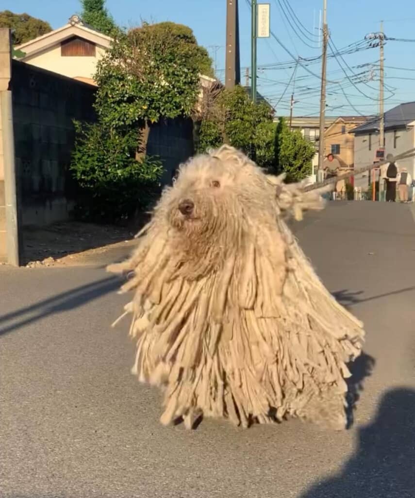 迫力がすごい!