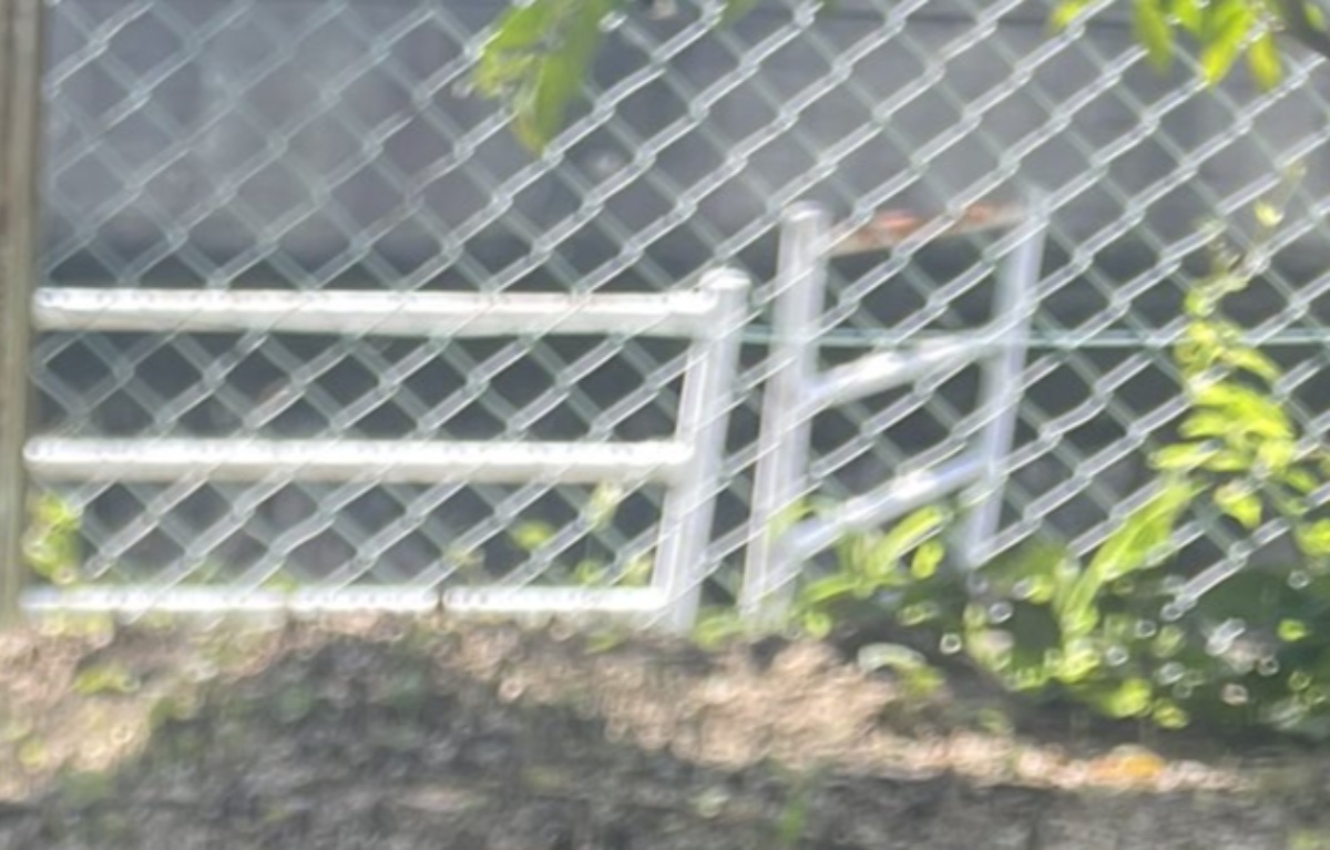 豪雨が去った後、職場の外に出てみたら……「興奮」　“驚がくの光景”に「すごいなぁ～～～」「教科書に載せたい」と420万表示（1/2） | IT・科学 ねとらぼ