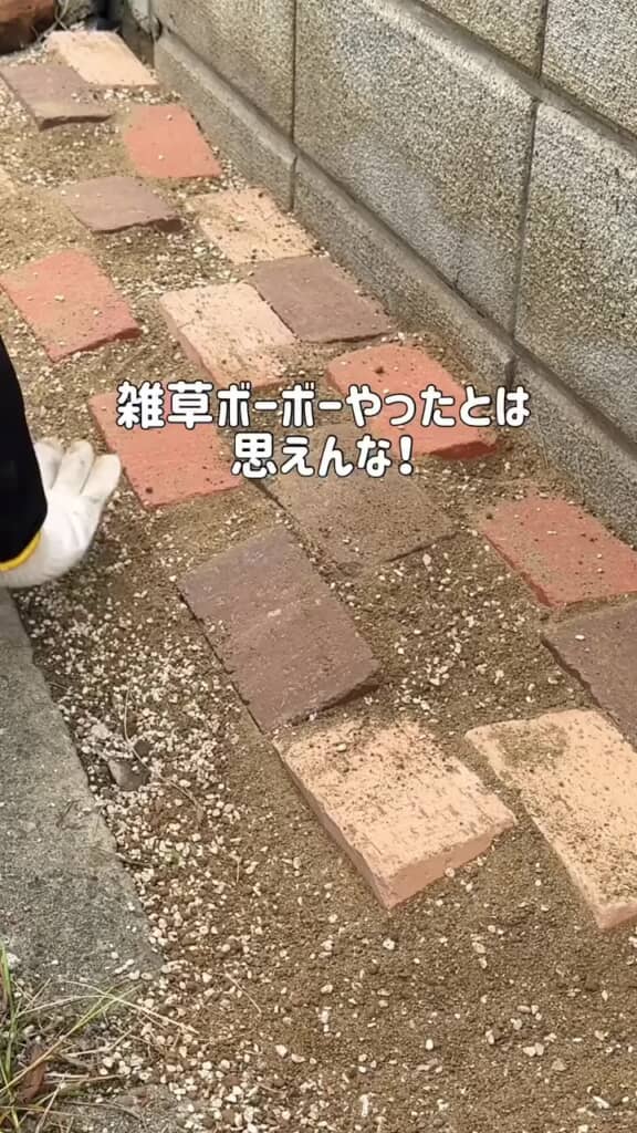 雑草を取り除いた後、レンガと土を敷き詰めた