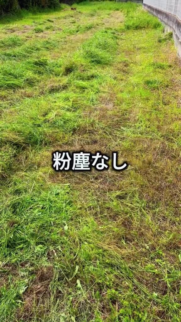さっぱりした庭