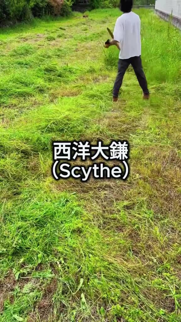 黙々と刈っていく