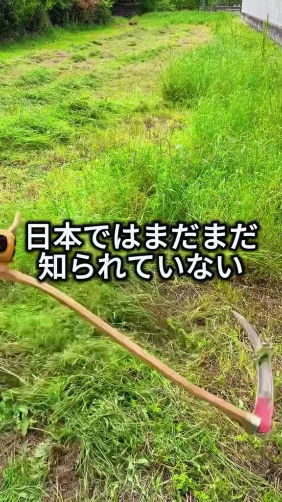 立派な刃