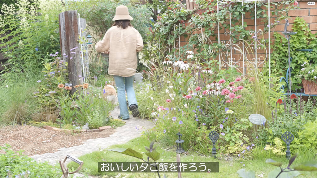 来年の夏が楽しみです