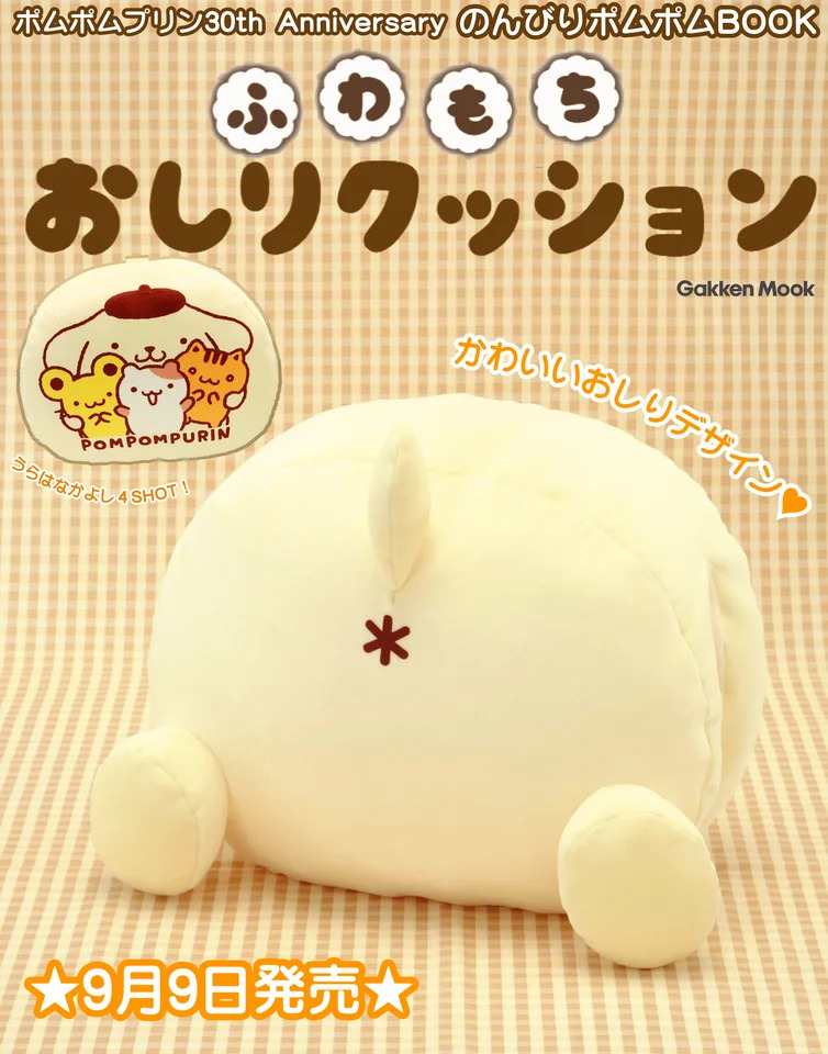 付録のイメージ