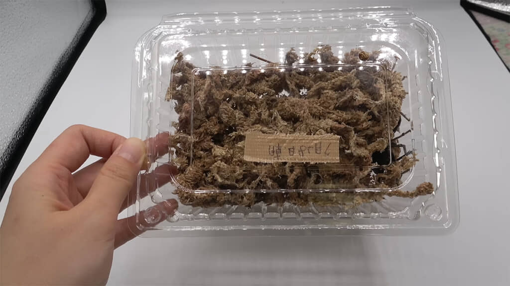 カップの中には「とんでもないもの」が入っているようで……?