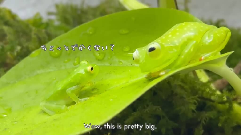 確かに大きいね