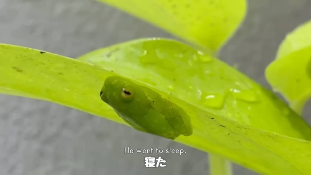 寝ちゃうんだ