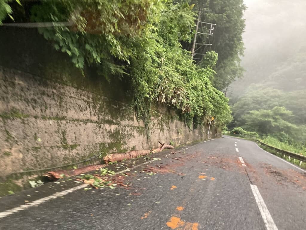 道の端に寄せてクルマが通れるようにしました