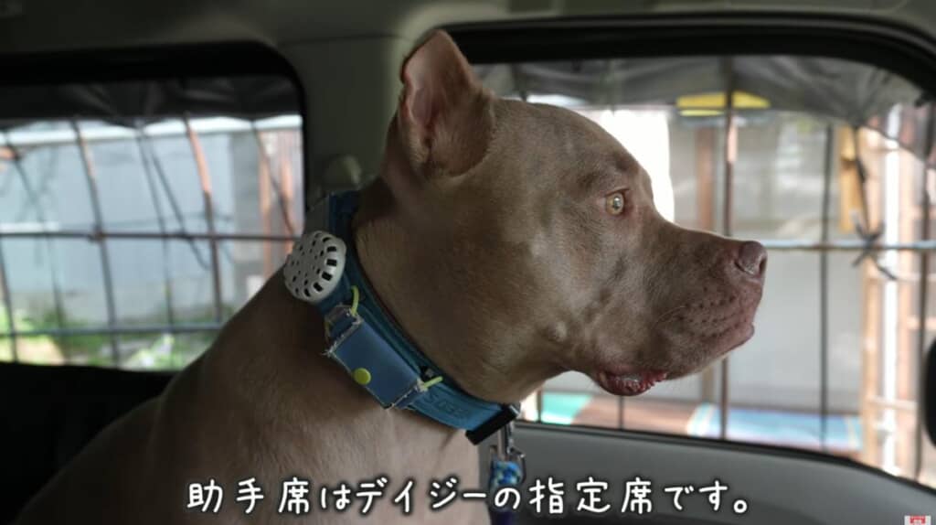 お母さんを待つ姿も不安そう