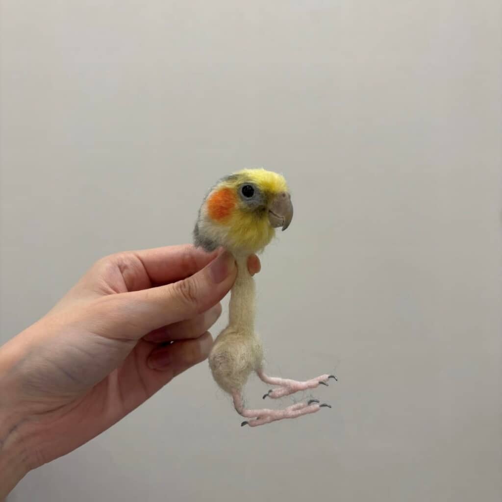 どういうこと?!