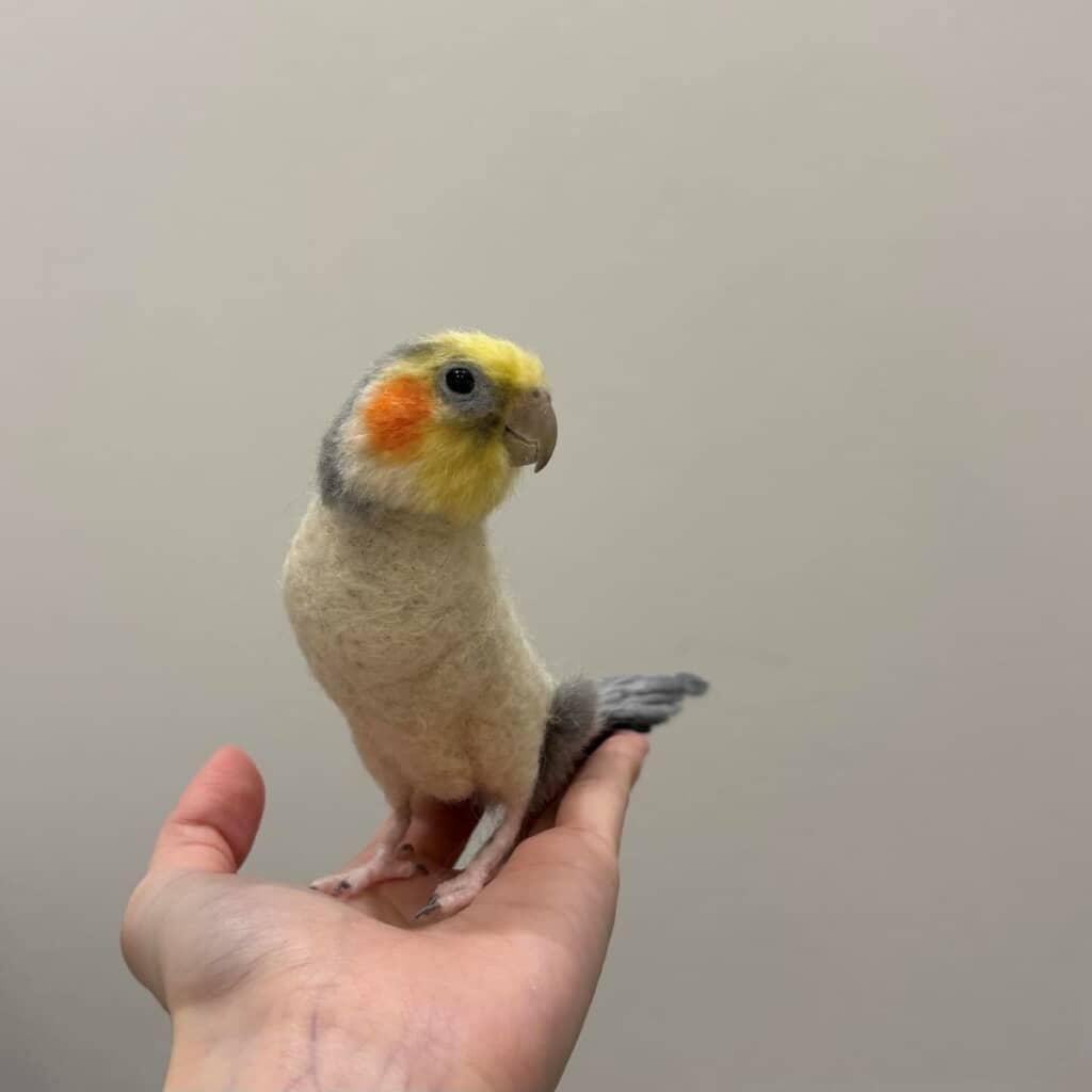 ようやく身体が丸くなってきました