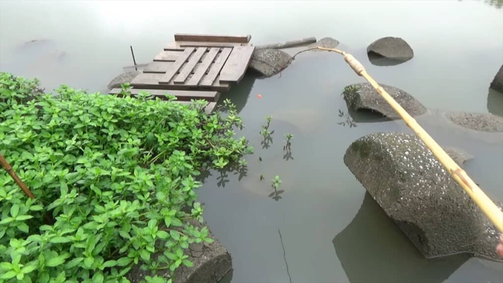 テトラポッドの隙間にミミズを落とす穴釣り