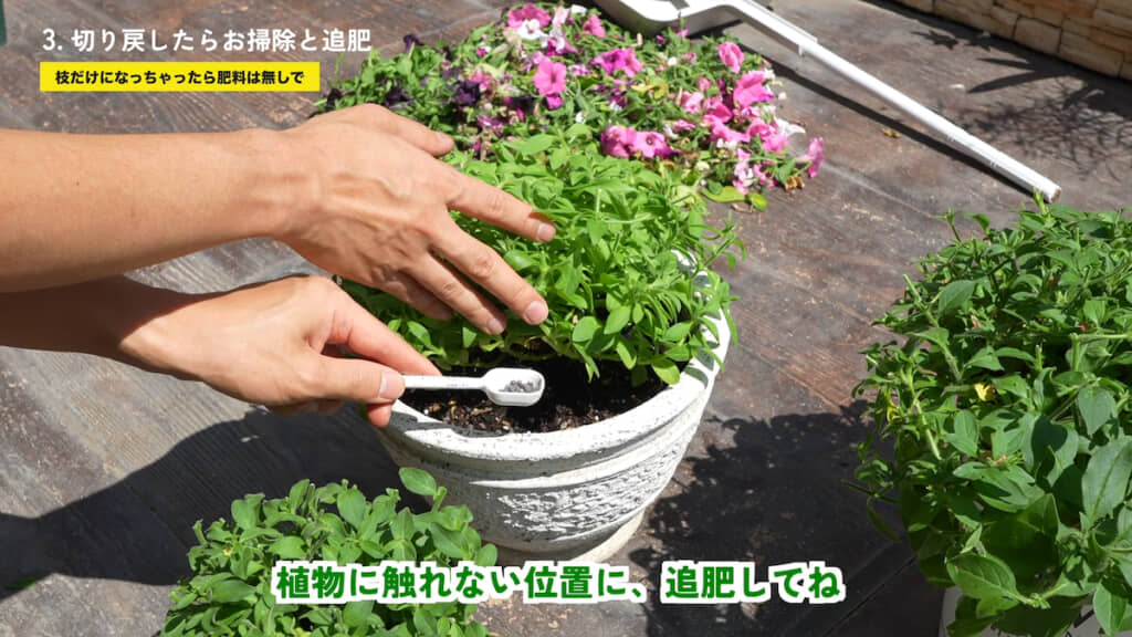株元に触れない位置に追肥する