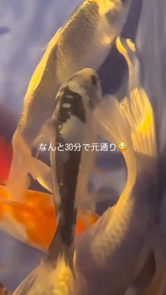 30分後に元どおり