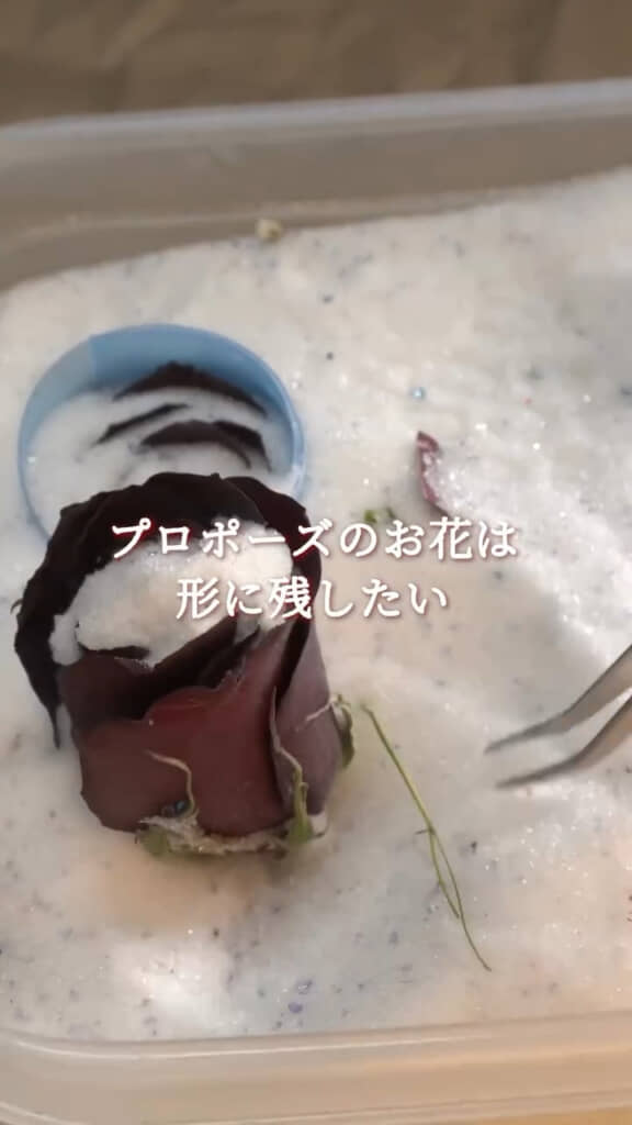 届いたのはプロポーズの赤いバラ