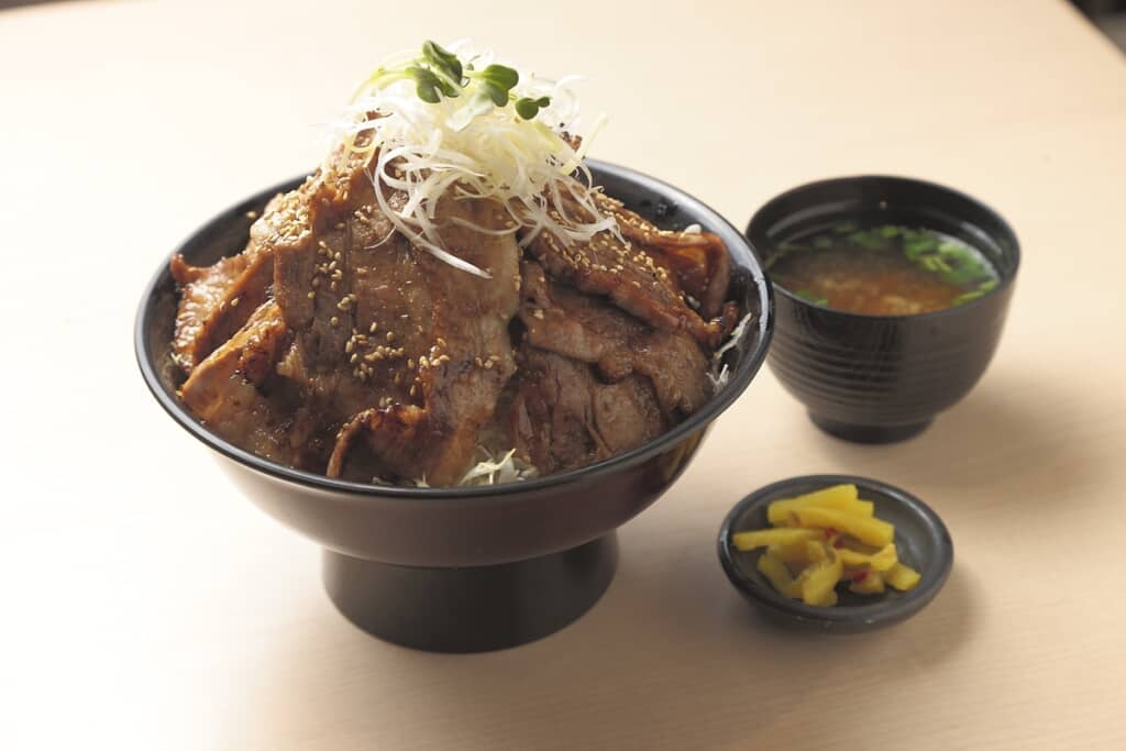 常磐道|友部SA(茨城県)下り線 『とん丼 筑波山』