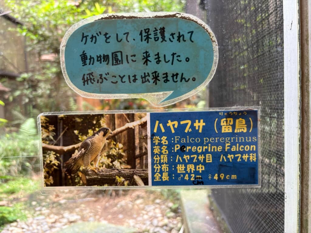 投稿翌日には「42cm」と修正されていました