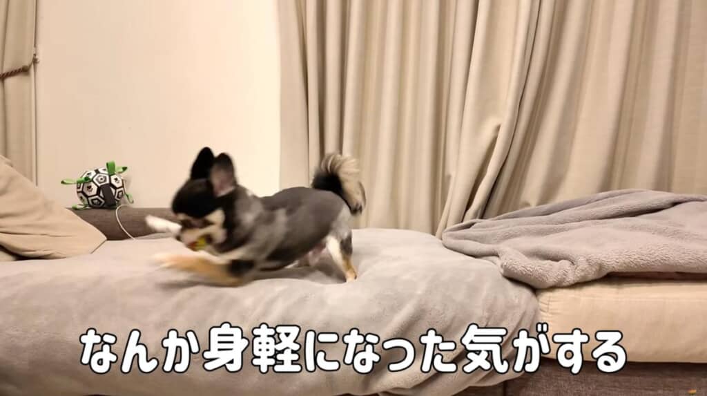 身軽になったかな?